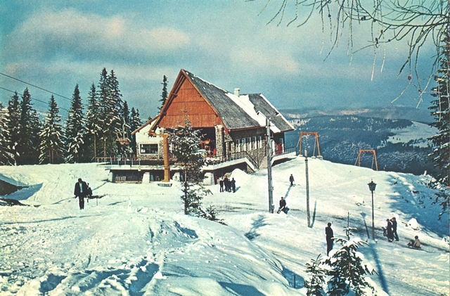 2123-1 - Paltinis. Telefericul